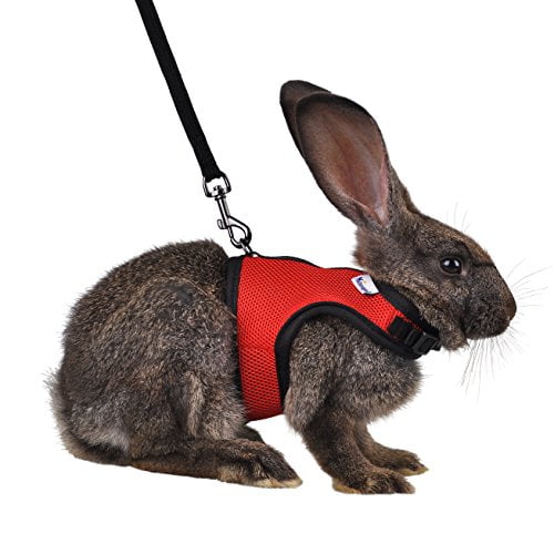 Niteangel Adjustable Soft Harness with Elastic Leash for Rabbits L, Red